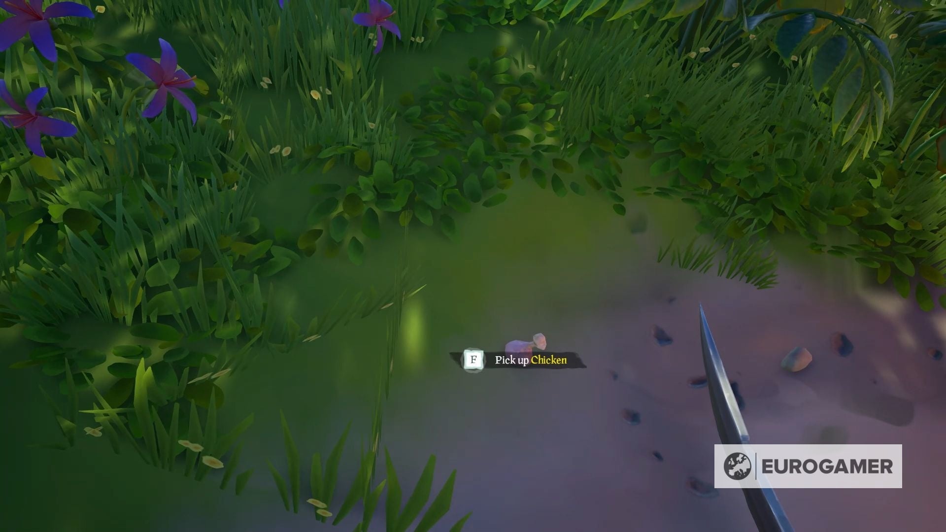 Sea of Thieves Maiden Voyage tutorial Key and journal locations, and